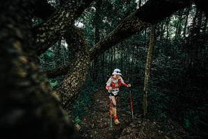 BIB: 
                            <button type="button" onclick="openModal(25683256)" class="btn btn-primary btn-sm float-right btn-popup" data-toggle="modal" data-target=".modal-high-quality">
                        <i class="fas fa-shopping-cart"></i> Add to Cart
                    </button>
                                            <button type="button" onclick="isThisMe(25683256, true)" class="btn btn-success btn-sm float-right btn-popup btn-isme hidden" data-toggle="tooltip" data-placement="bottom" title="นี่คือรูปของคุณใช่ไหม คลิกที่นี่เพื่อเอาเข้าอัลบั้ม">
                        <i class="fas fa-plus"></i> Add to album
                    </button>
                    <button type="button" onclick="isThisMe(25683256, false)" class="btn btn-warning btn-sm float-right btn-popup btn-isnotme hidden">
                        <i class="fas fa-ban"></i> Remove from album
                    </button>